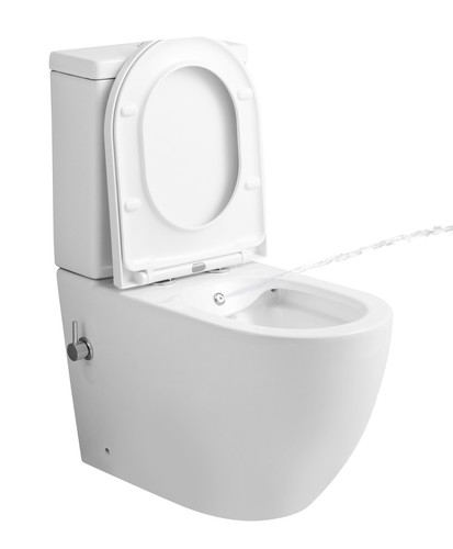 Bidet toilet back to - bidet, wc