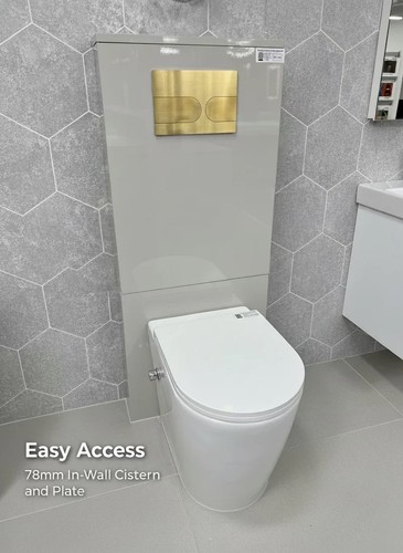 Bidet toilet back to - bidet, cc