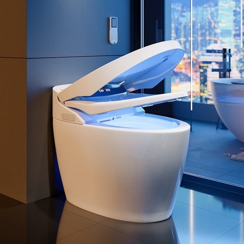 Japanese toilet bidet self - japanese, bidet,