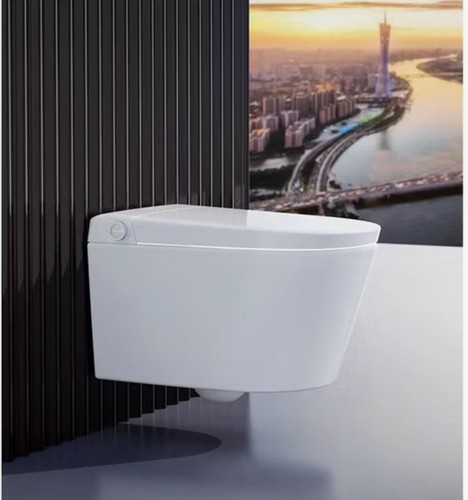 Wall hung japanese smart - wall,